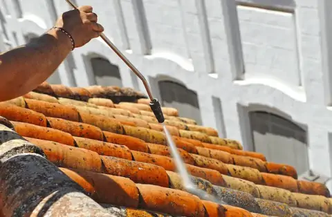 Nettoyage de toitures - Chatte